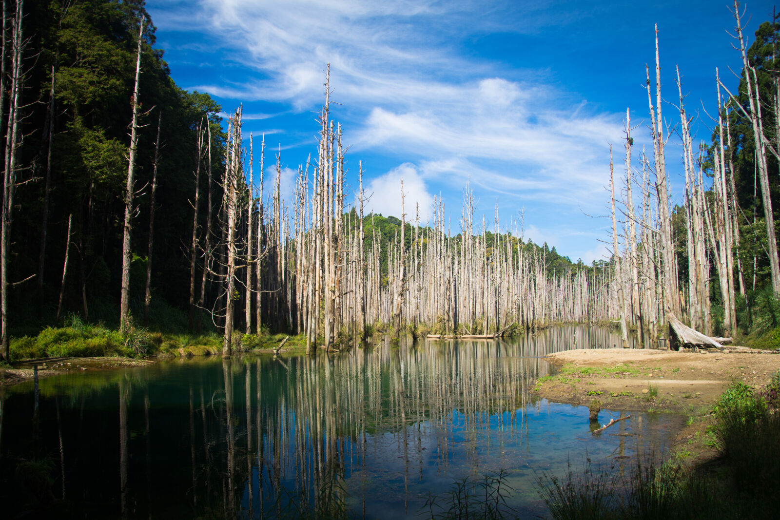 Nikon D7100 sample photo. Lake, photo, during, daytime photography
