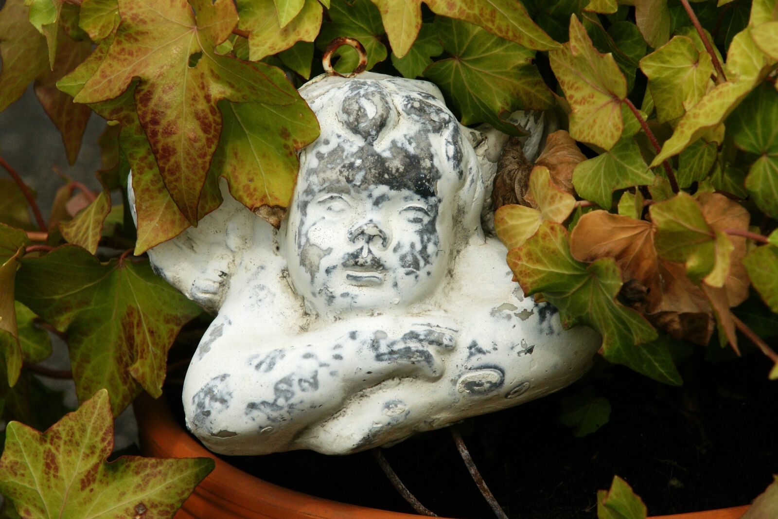 Sony Alpha DSLR-A700 sample photo. Angel, angel figure, reclining photography