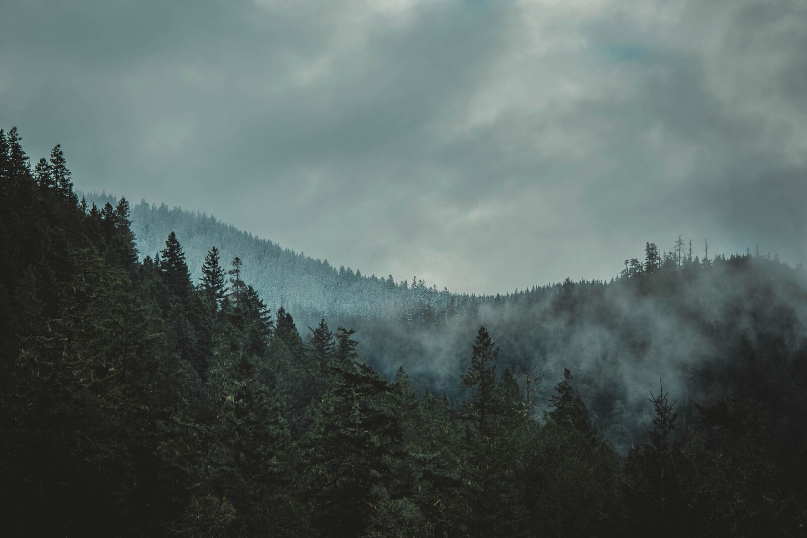 Nikon D5200 sample photo. Fogg, hill, mist, snow photography