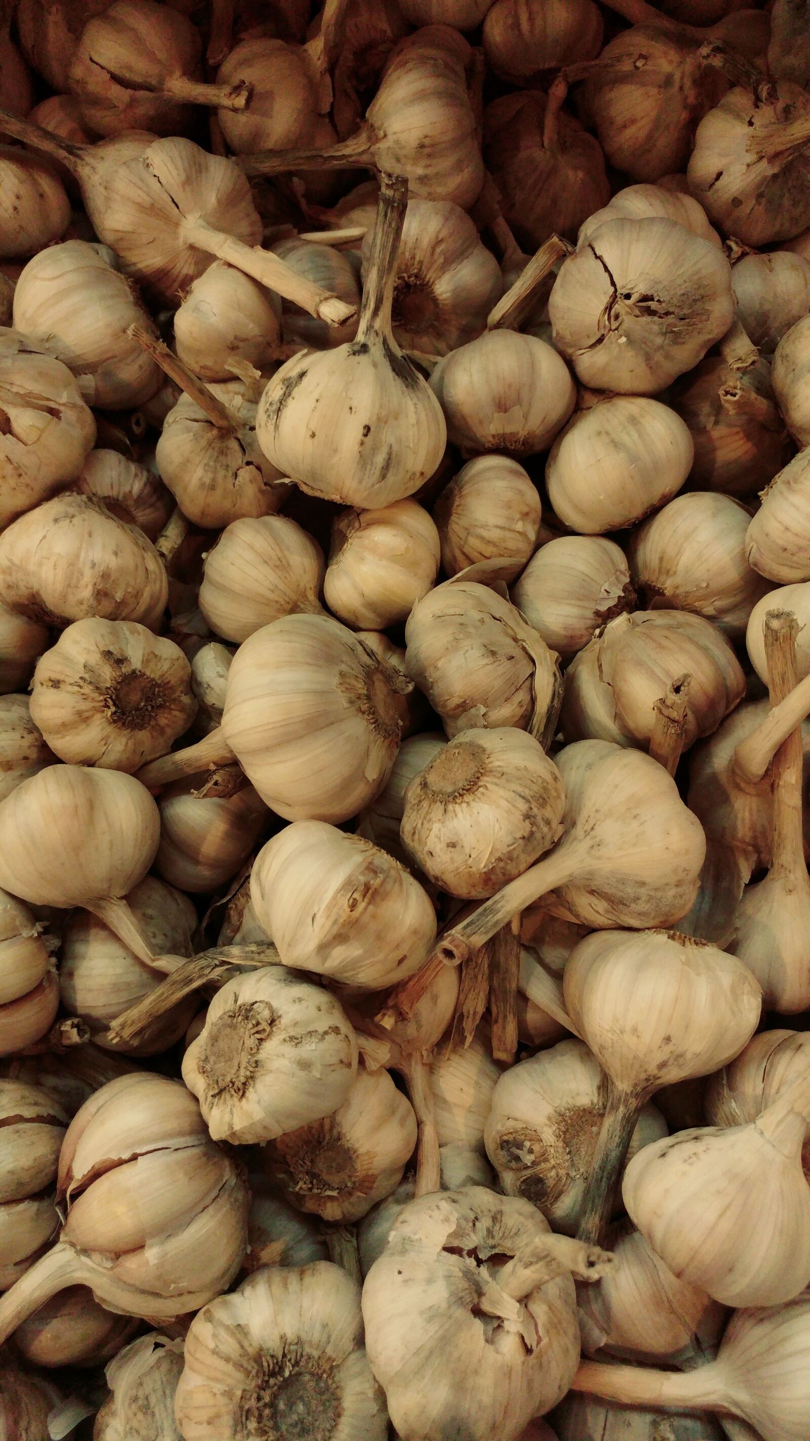 LG G5 sample photo. Garlic, vegetables, spice photography