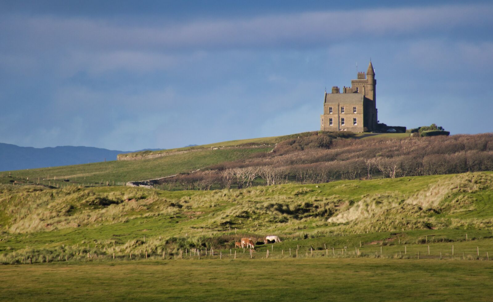 Canon PowerShot G3 X sample photo. Castle, ireland, landscape photography