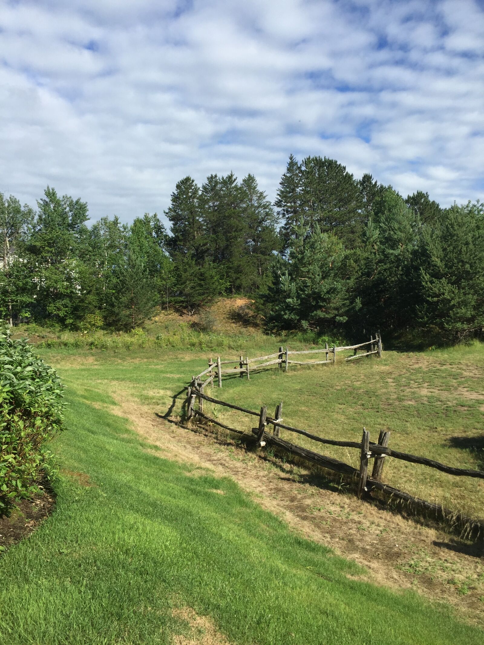 Apple iPhone 6 sample photo. Meadow, summer, freedom photography