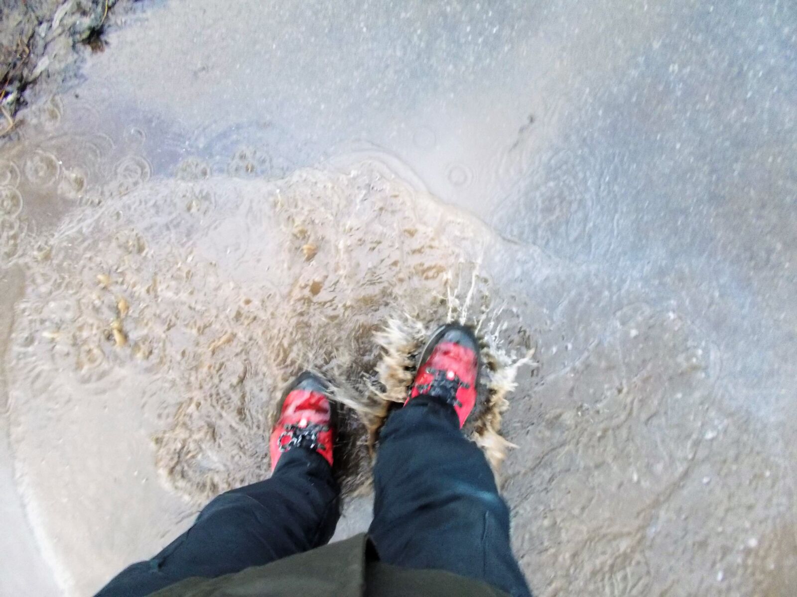 Nikon Coolpix L31 sample photo. Puddle, red, shoes, water photography