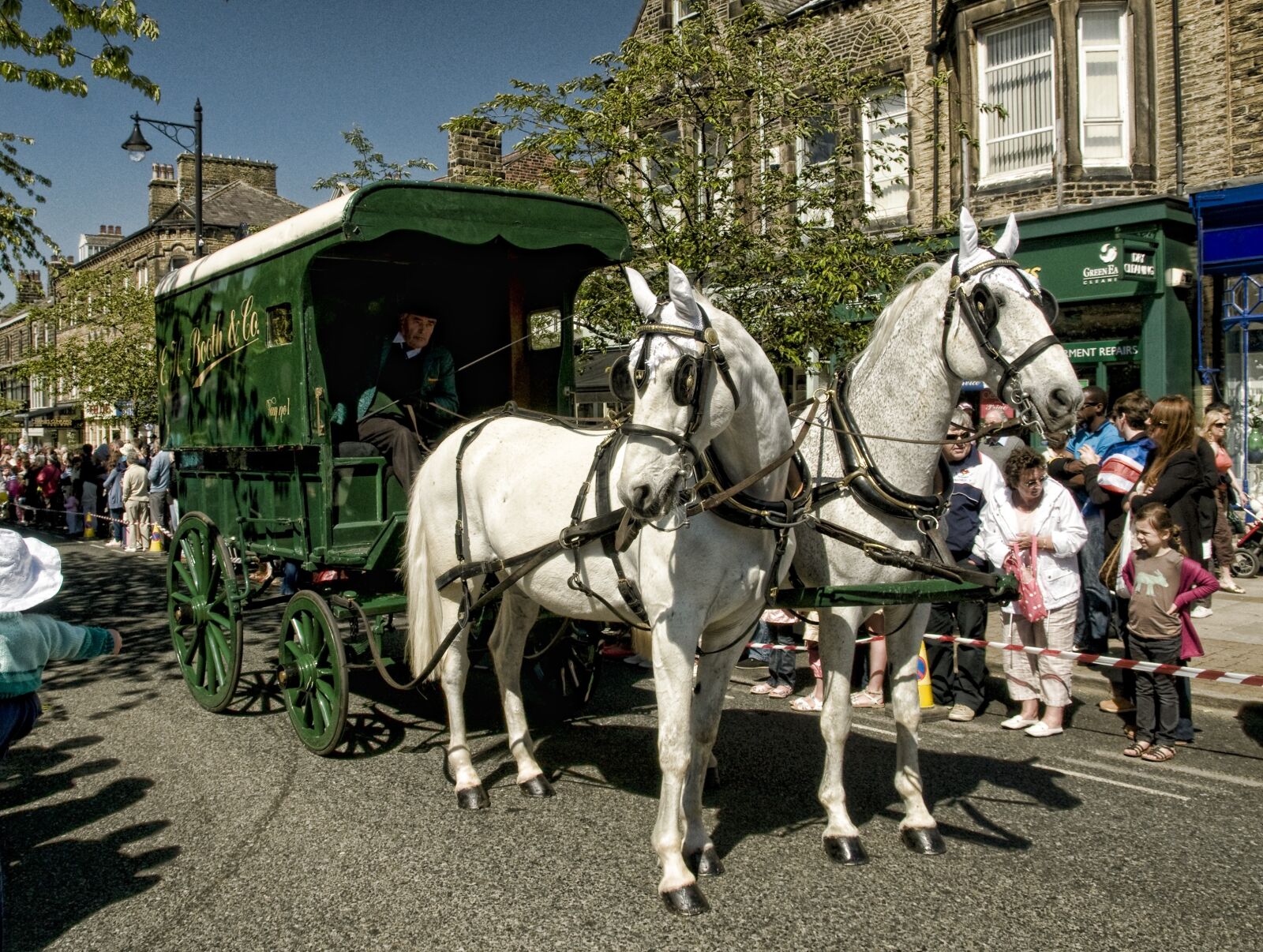 Nikon D300 sample photo. Horse, carriage, ilkley photography