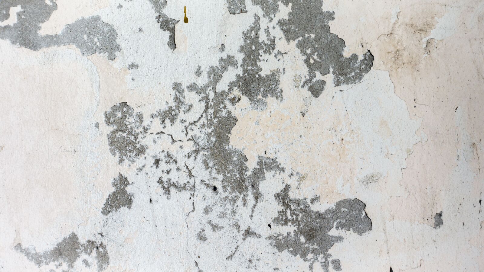 Sony Cyber-shot DSC-RX100 IV sample photo. Background, texture, wall photography