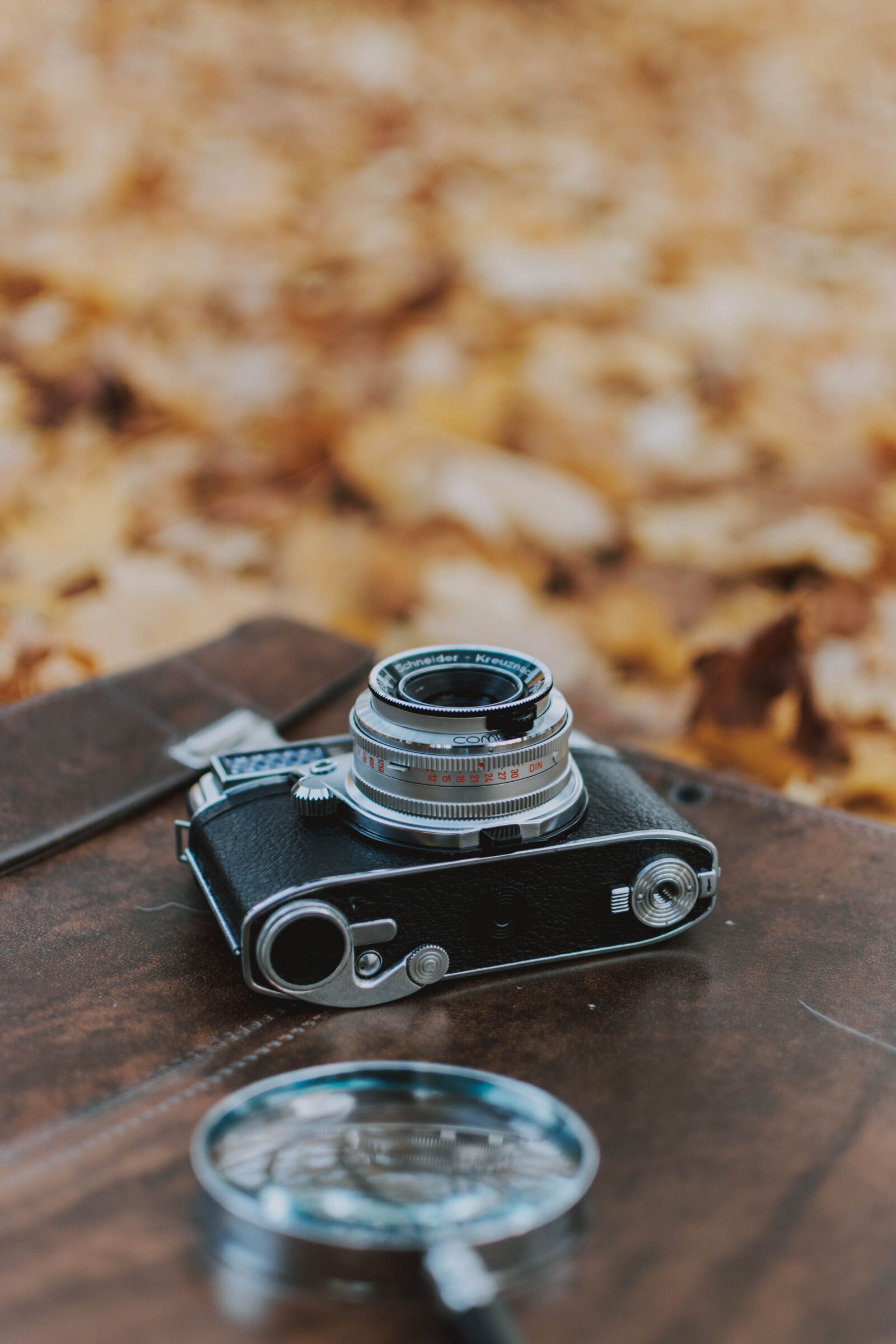 Nikon D5200 sample photo. Luggage, camera, leaves photography