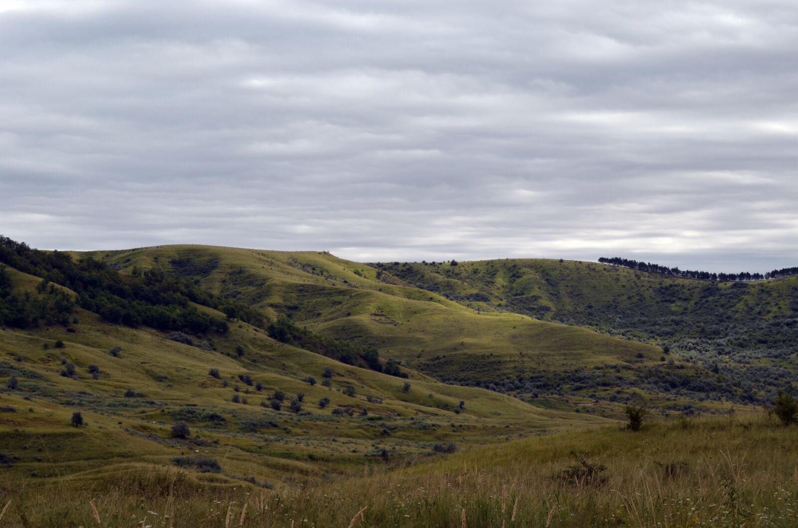 Nikon D5100 sample photo. Hills, landscape, tx photography