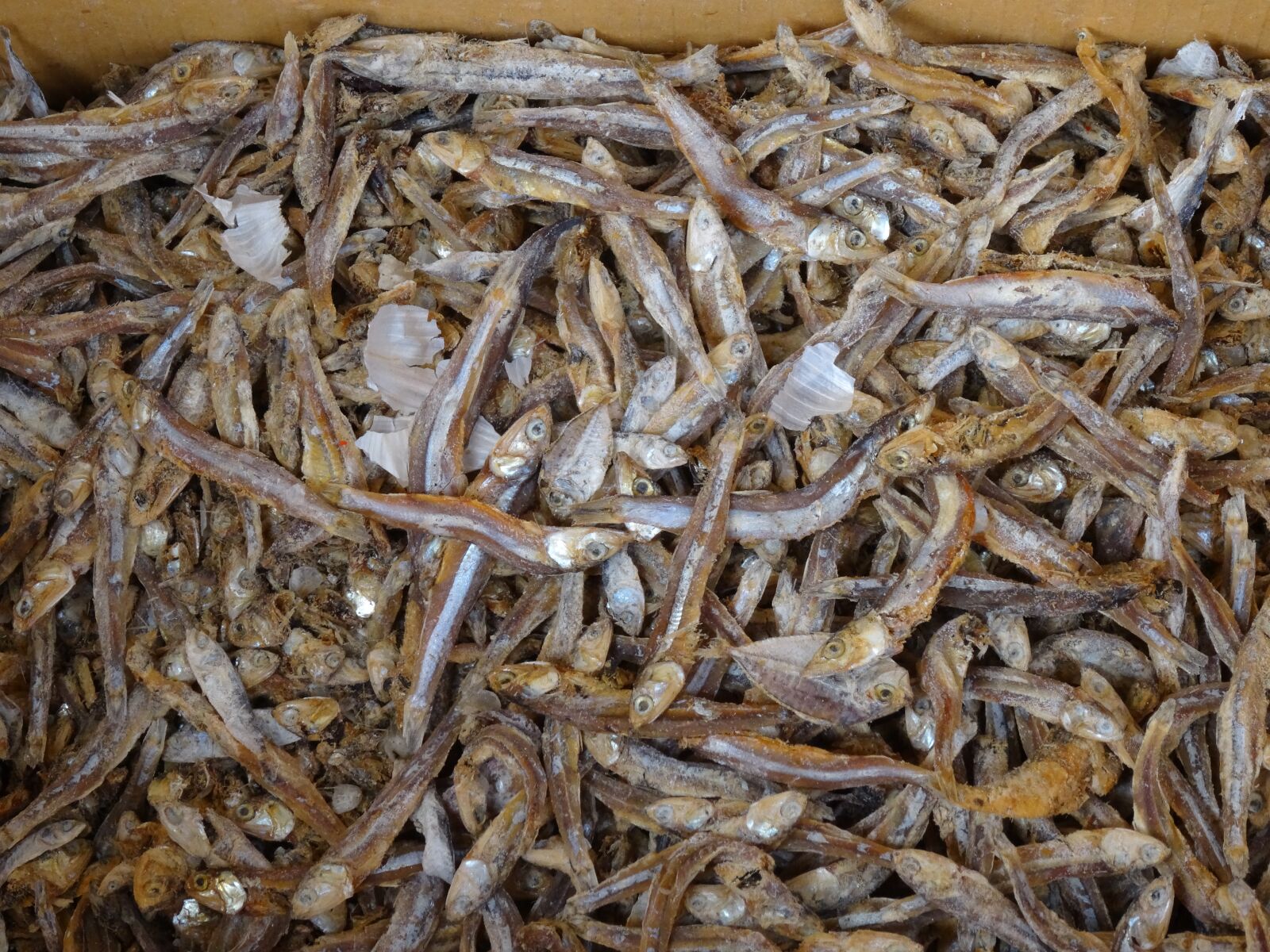 Sony DSC-HX50 sample photo. Dried fish, close up photography