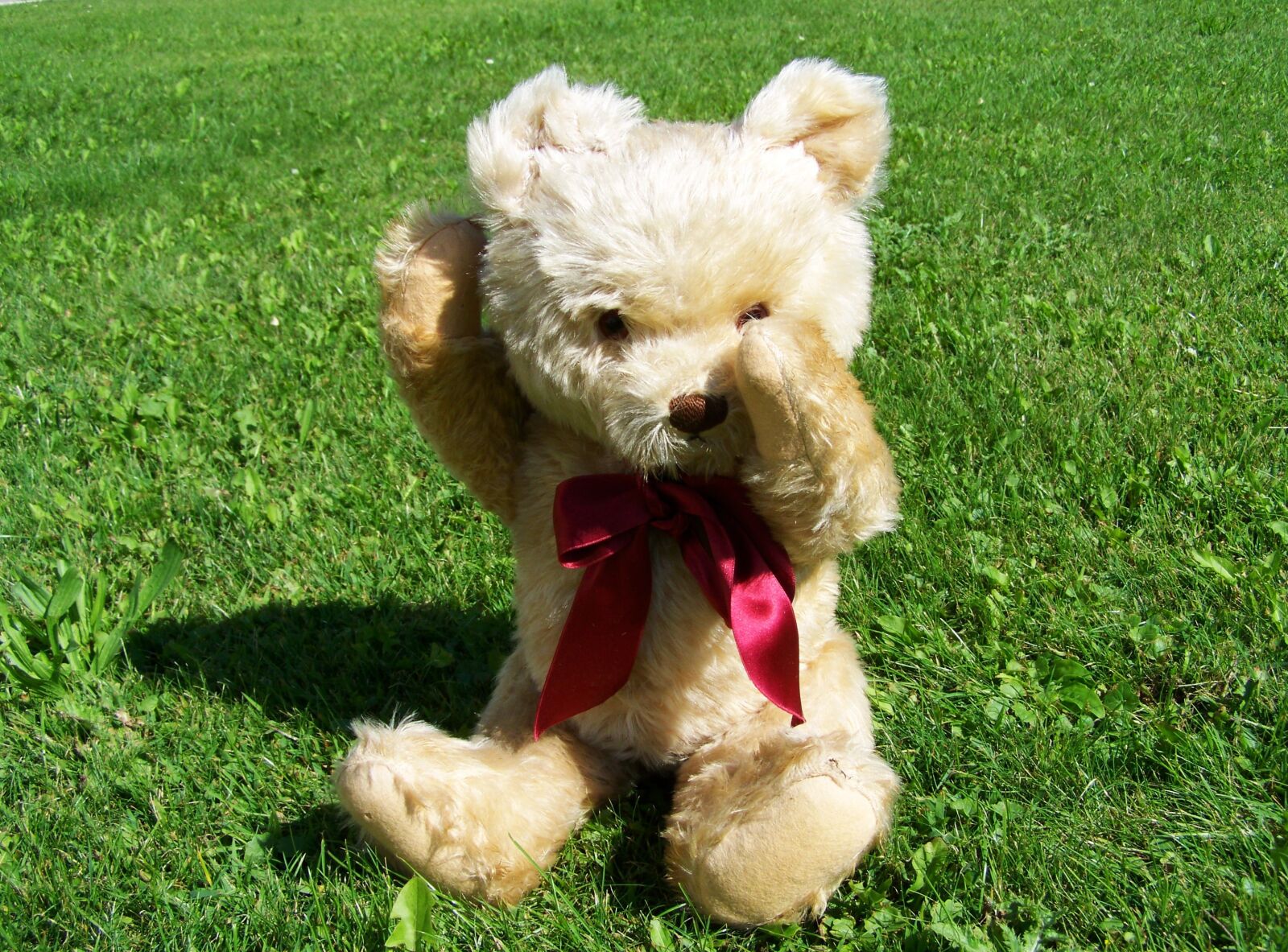 Kodak EASYSHARE ZD710 ZOOM DIGITAL CAMERA sample photo. Teddy bear, child's play photography
