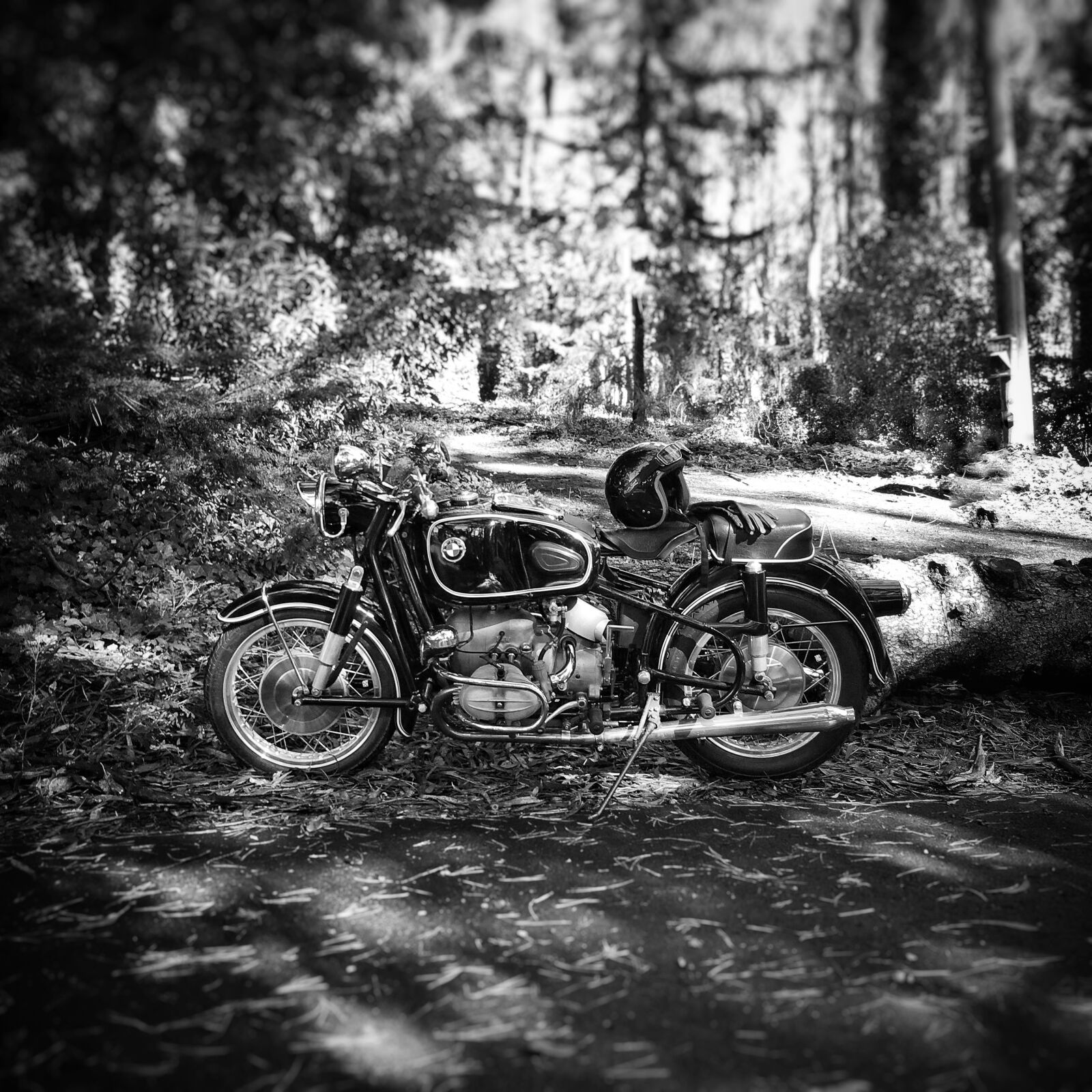 Apple iPhone 6s sample photo. Vehicle, motorcycle, bmw photography