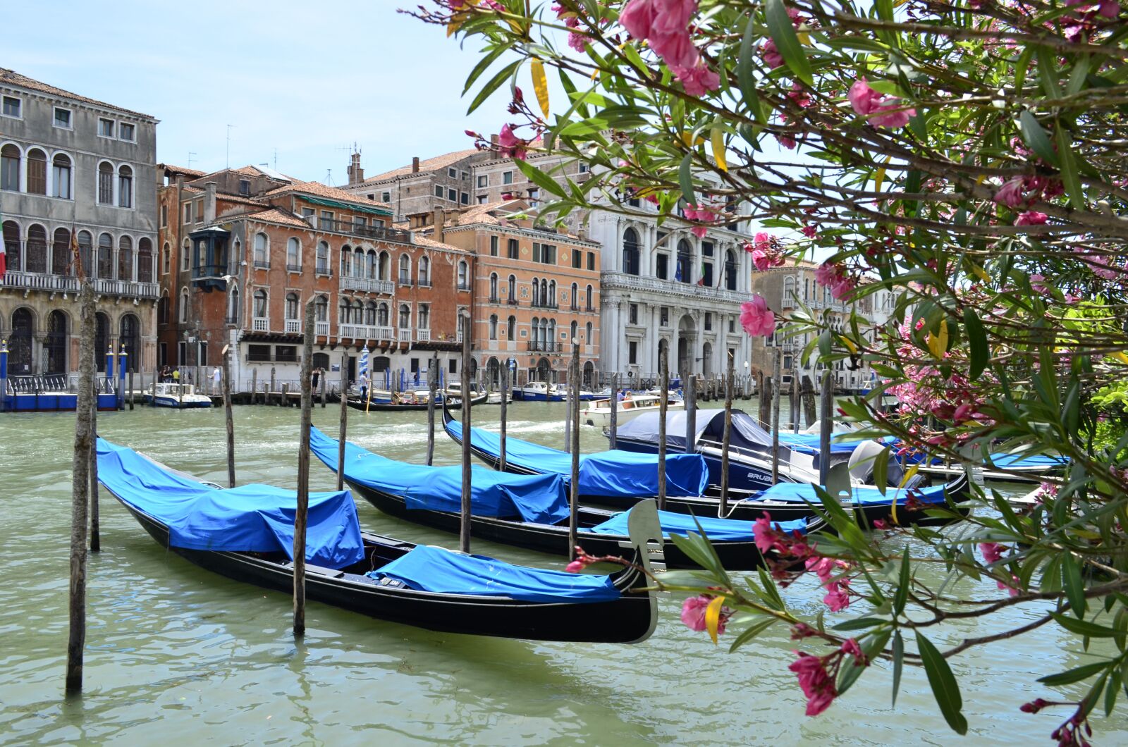 Nikon D5100 sample photo. Italy, venice, gondola photography