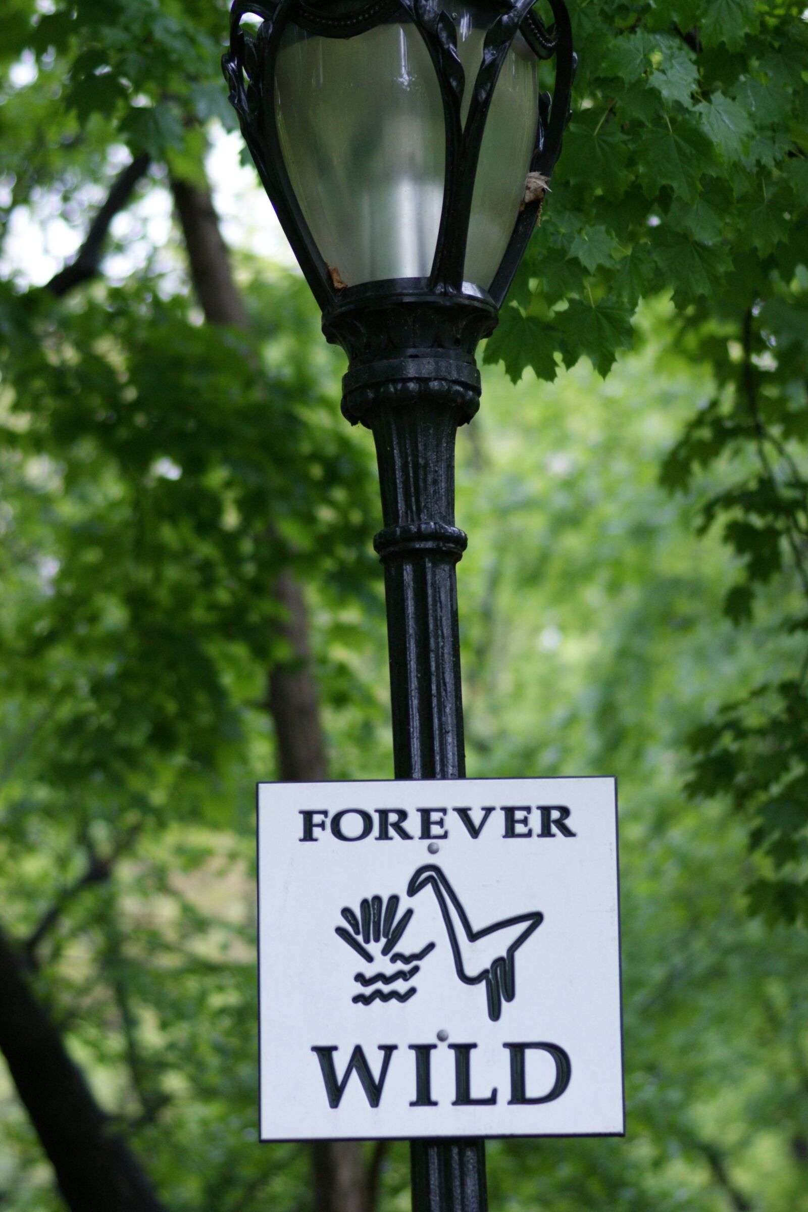 Sony Alpha DSLR-A350 sample photo. Forever, wild, sign photography