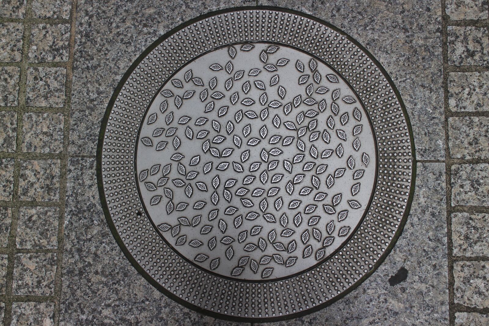 Canon EOS M2 sample photo. Manhole, design, street photography