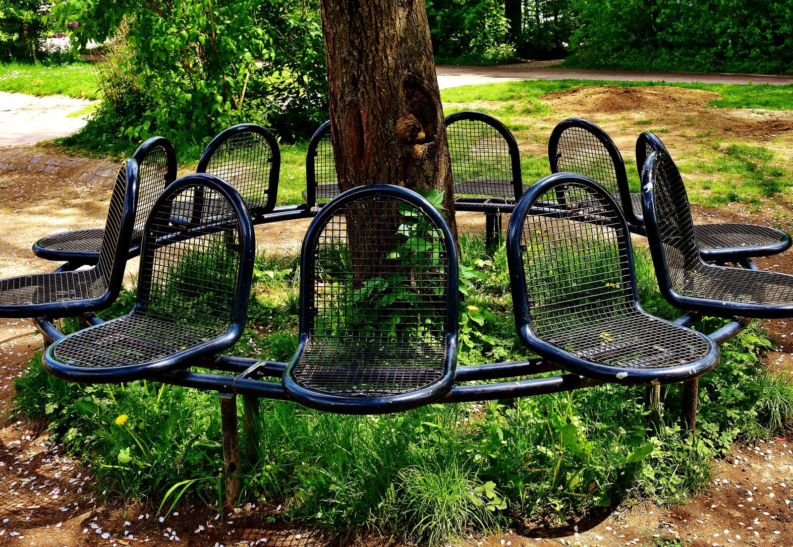 Nikon D7200 sample photo. Sit, bank, park photography