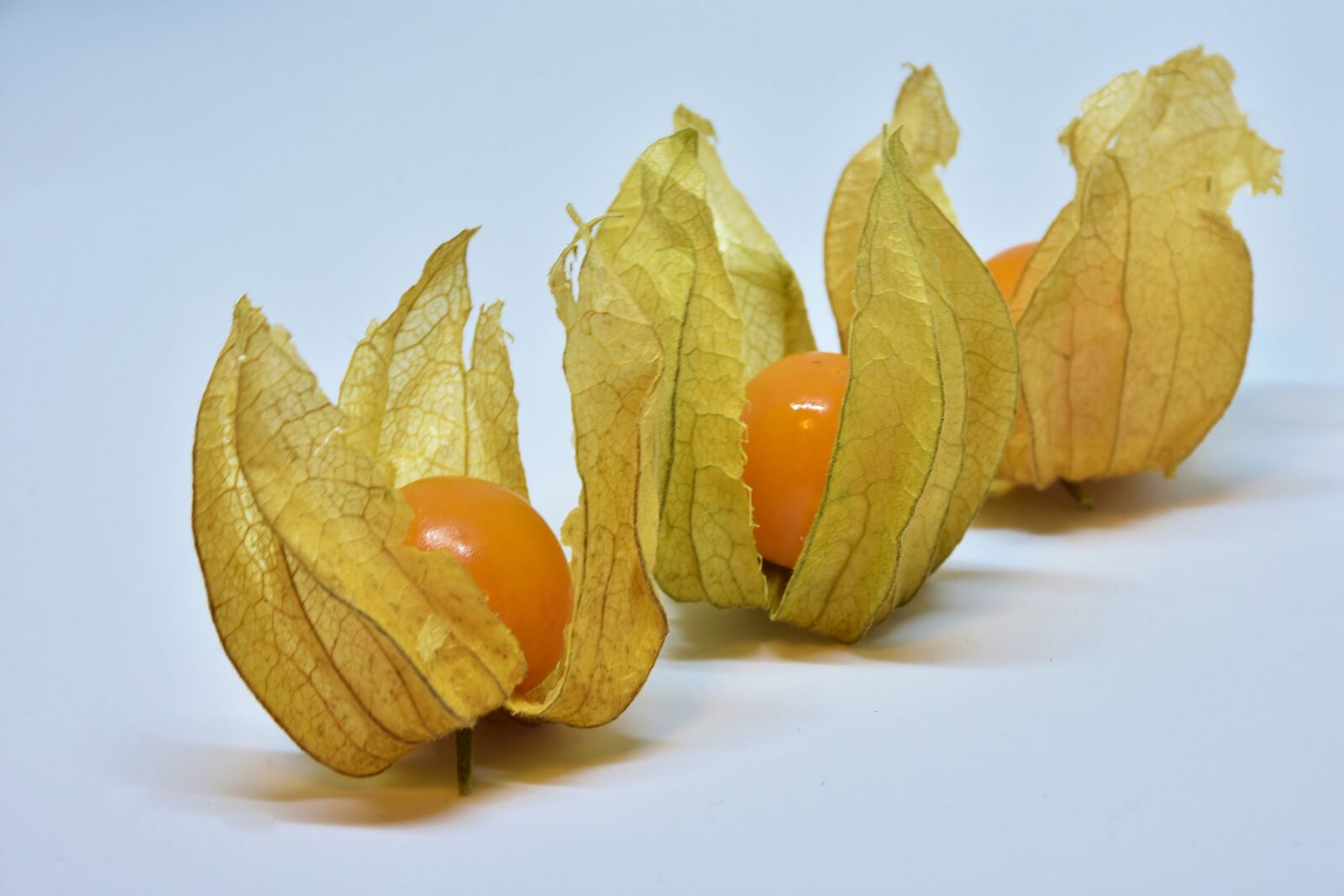 Nikon D7200 sample photo. Physalis, fruit, berry photography
