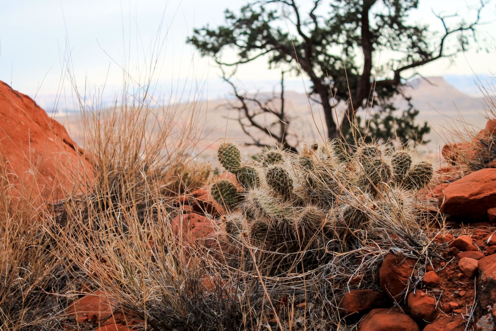 Canon EOS 1100D (EOS Rebel T3 / EOS Kiss X50) sample photo. Utah, red rocks, red photography