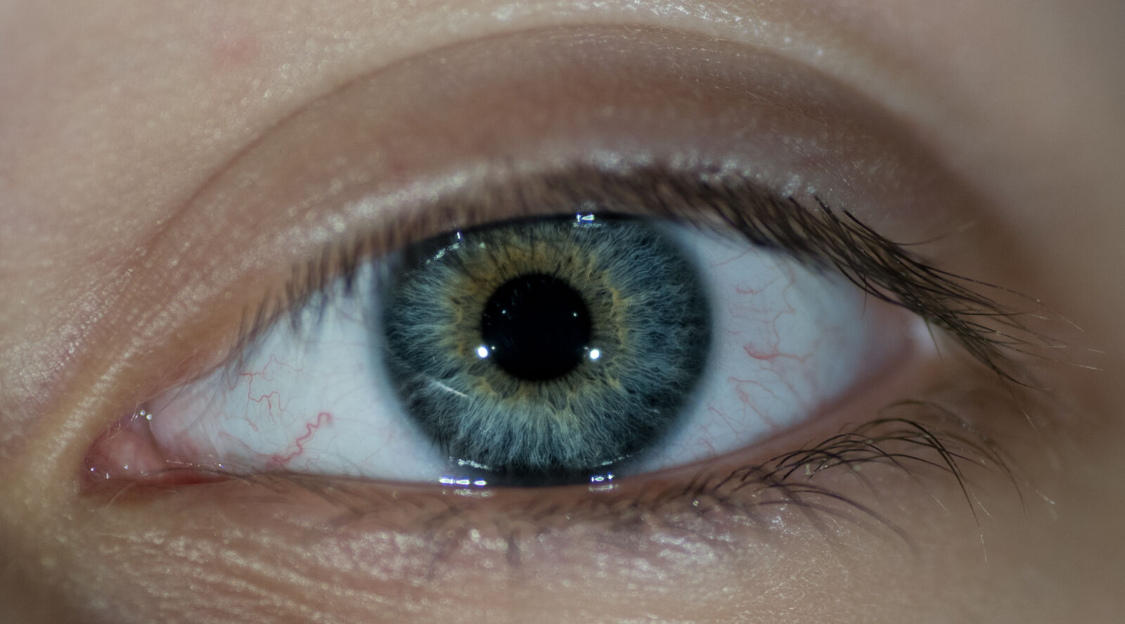 Sony ILCA-77M2 sample photo. Eye, son photography
