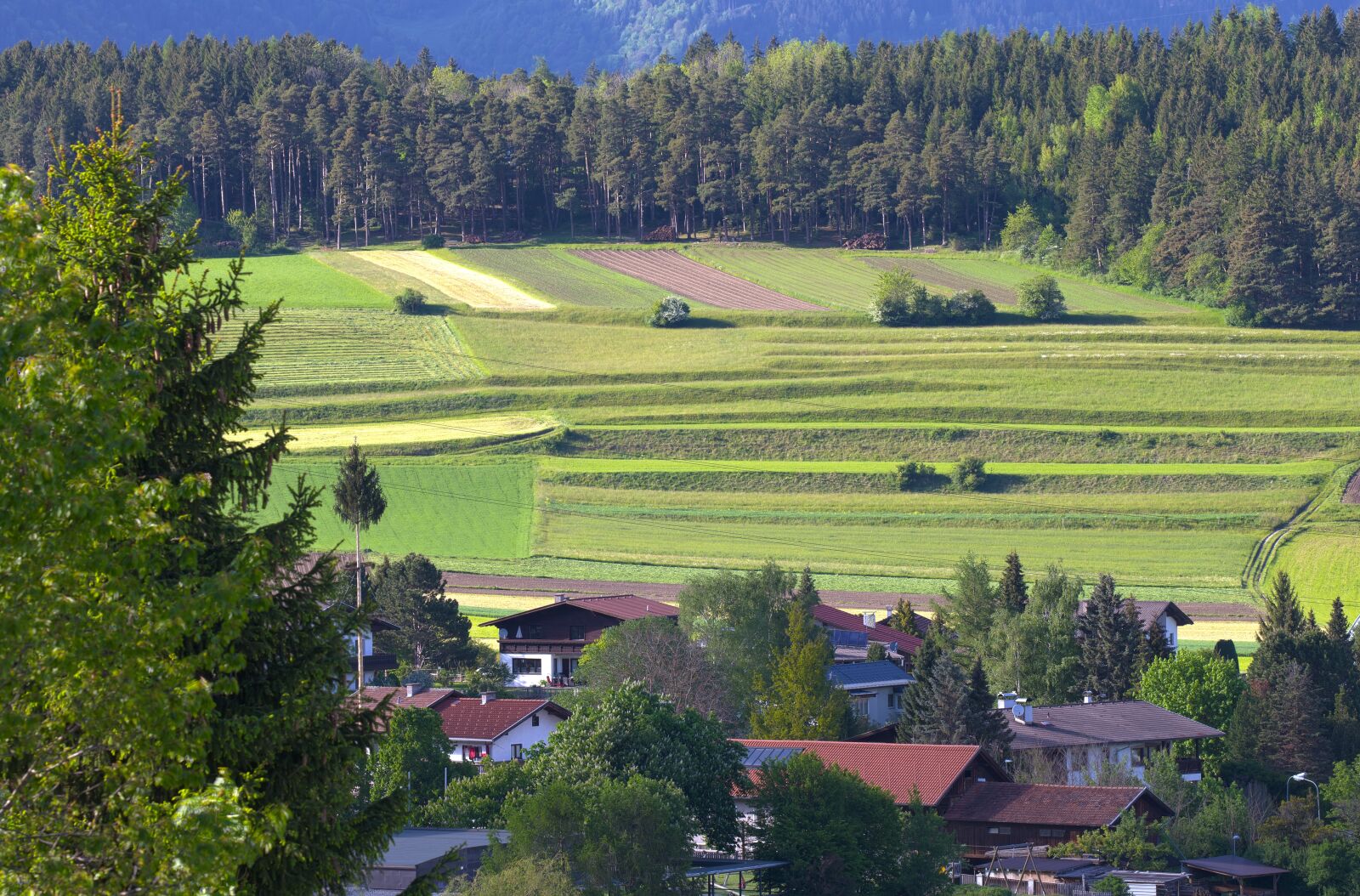 Canon EOS-1D X sample photo. Austrian landscape, cultivation, agriculture photography