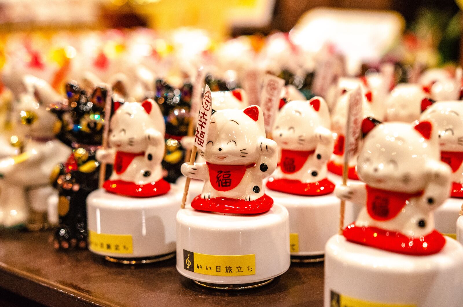 Nikon D7000 sample photo. Japan, cat, lucky cat photography