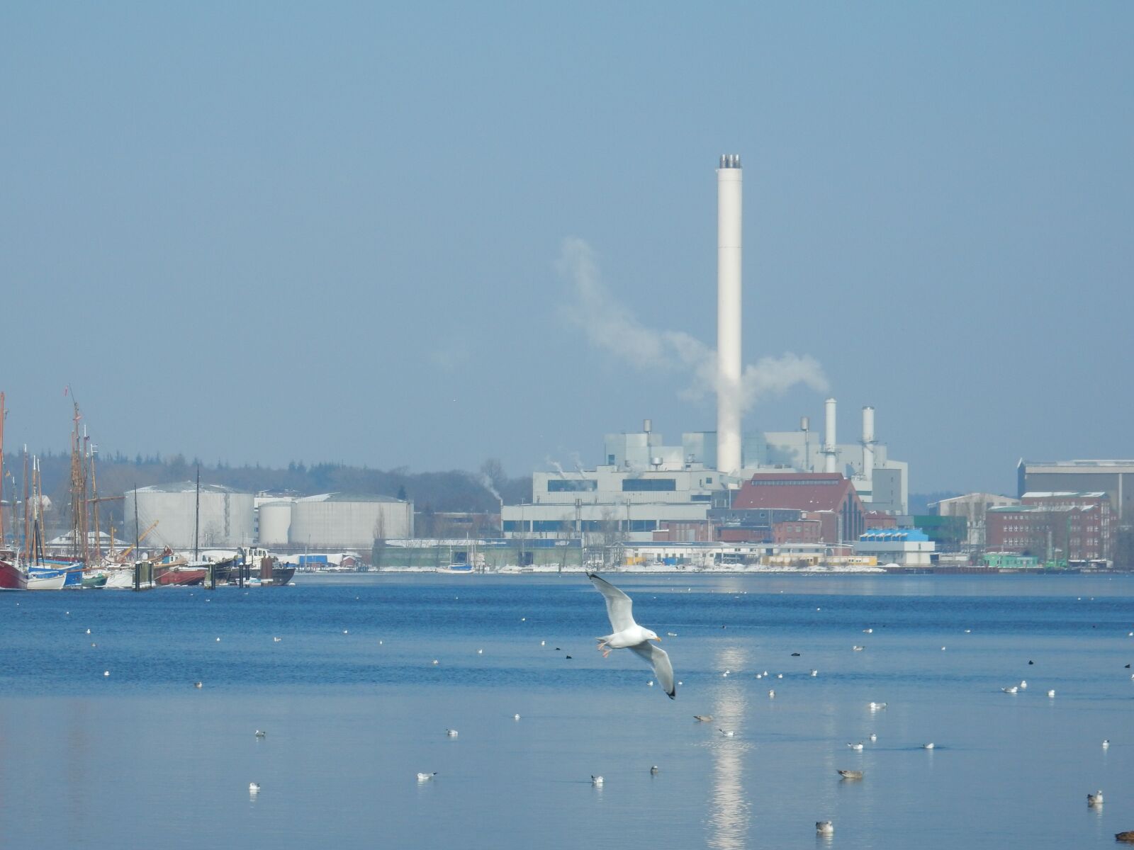 Nikon Coolpix S9900 sample photo. Winter, flensburg, port photography