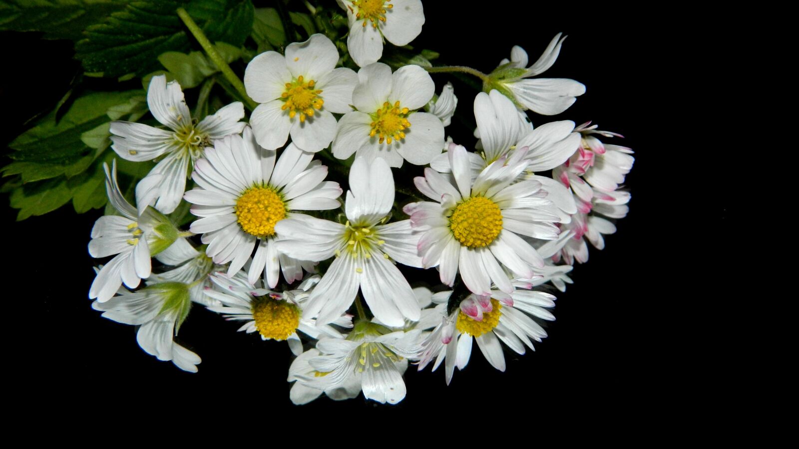 Nikon Coolpix L120 sample photo. Meadow, flowers, bouquet photography