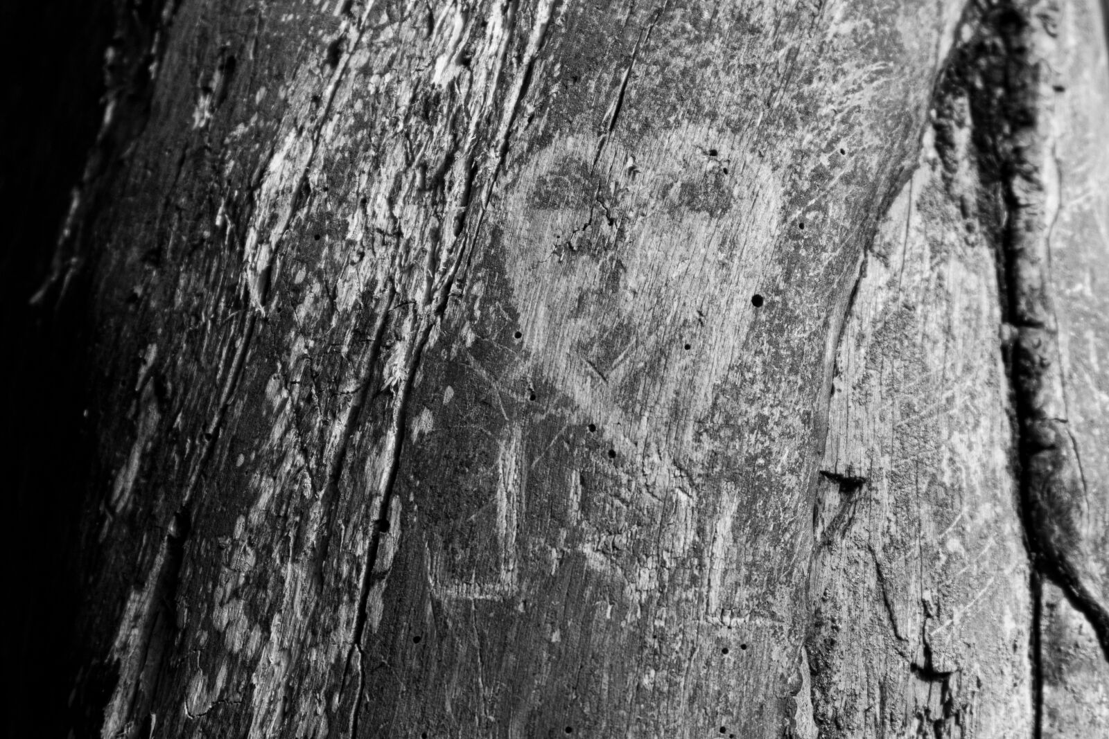 Canon PowerShot G7 X Mark II sample photo. Love, carving, wood carving photography