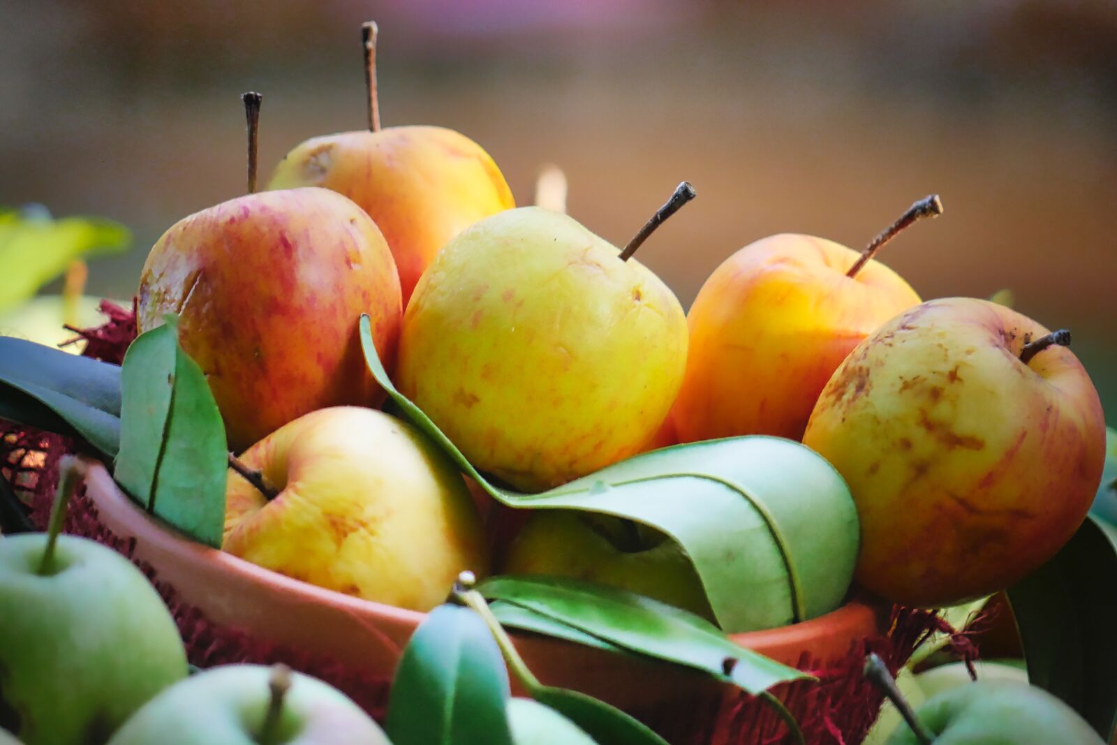 Panasonic Lumix DMC-GX8 sample photo. Harvest, autumn, apple photography