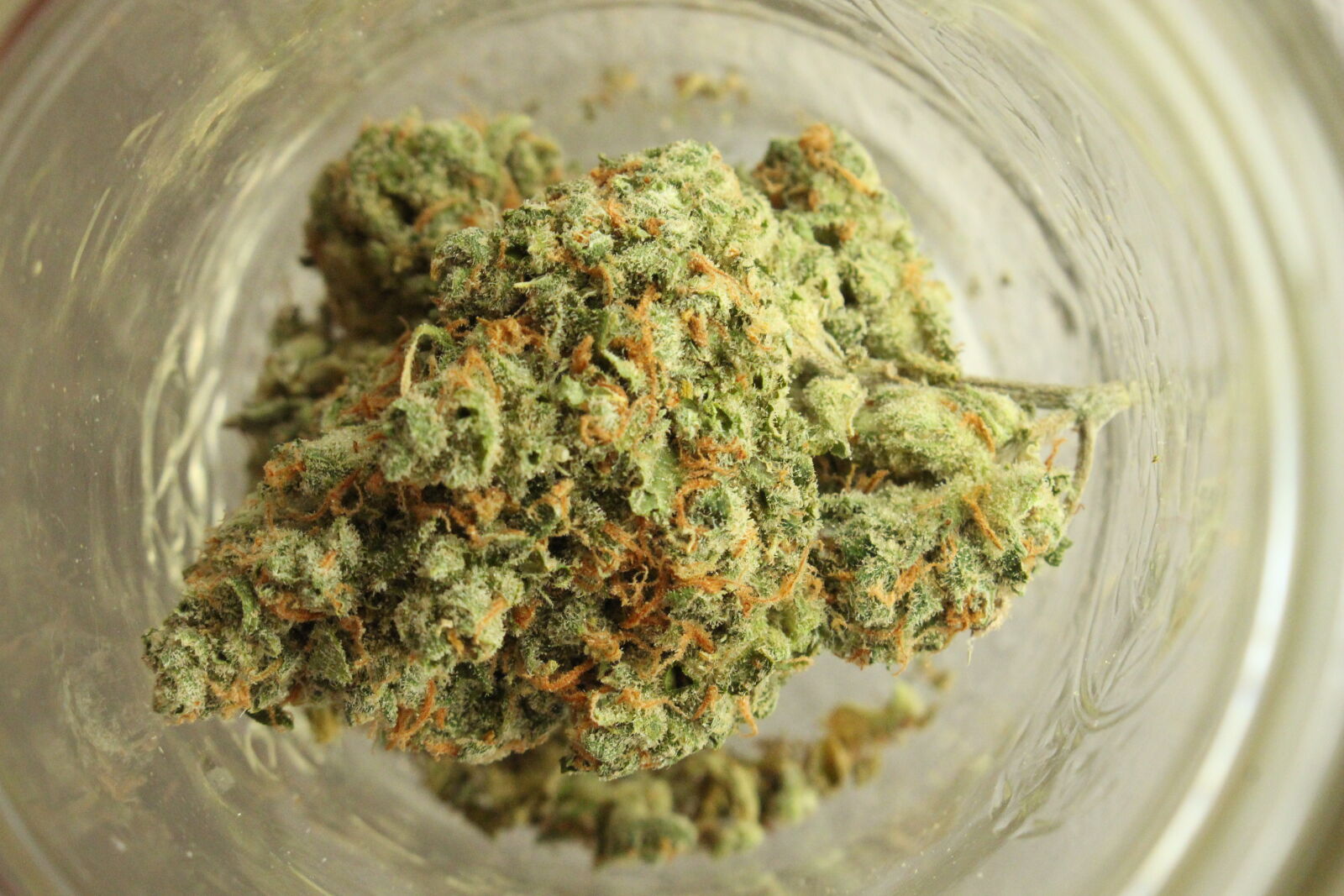 Canon EOS 700D (EOS Rebel T5i / EOS Kiss X7i) sample photo. 420, bud, cannabis, close photography