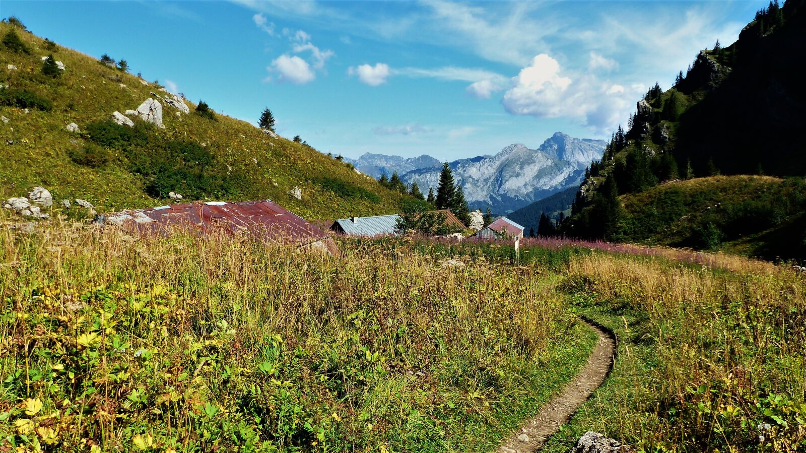 Panasonic Lumix DMC-FZ200 sample photo. Nature, alpine, farm photography