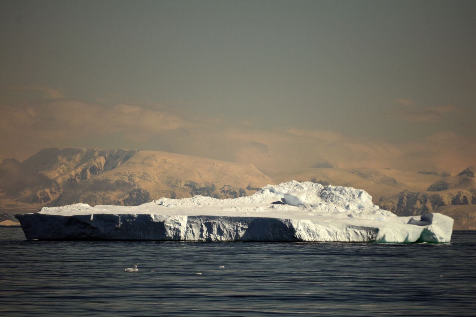 Nikon D3200 sample photo. Iceberg, antarctica, landscape photography
