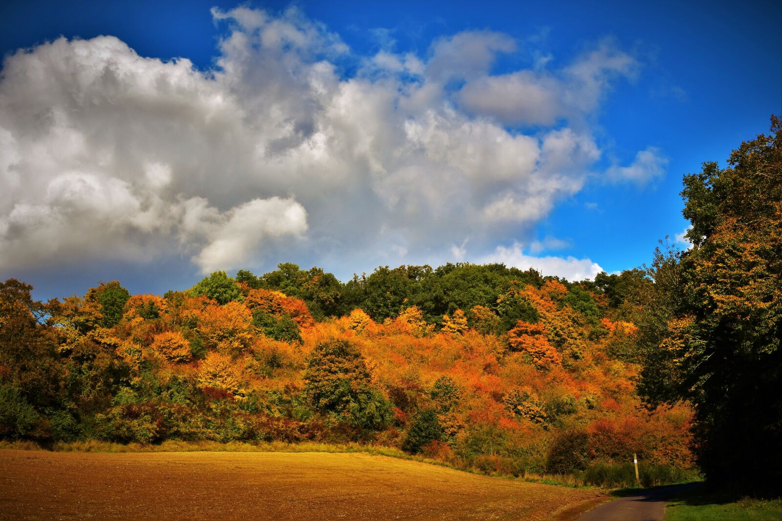 Nikon D7200 sample photo. Autumn landscape, fall colors photography