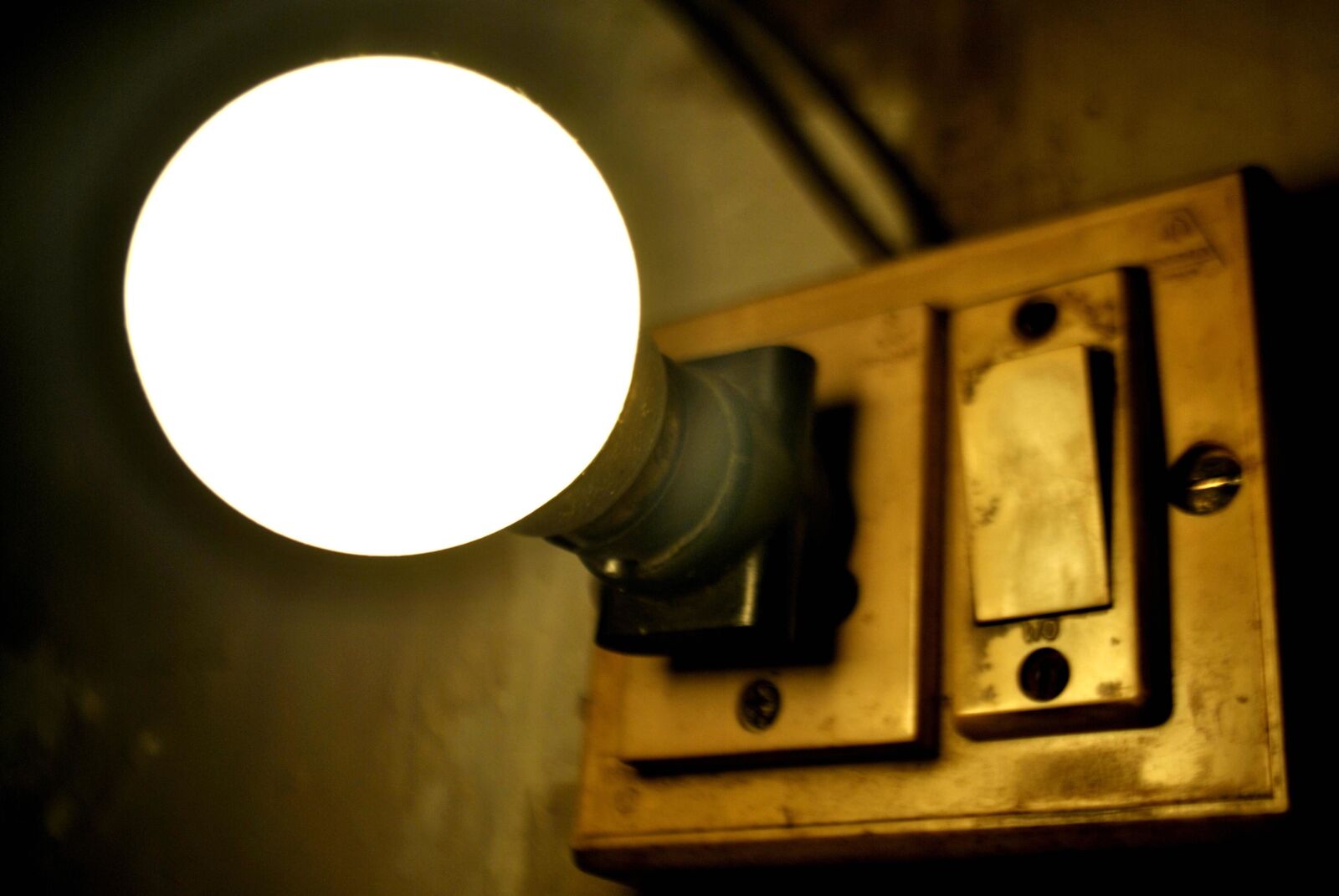 Nikon D3000 sample photo. Antique, switch, light bulb photography