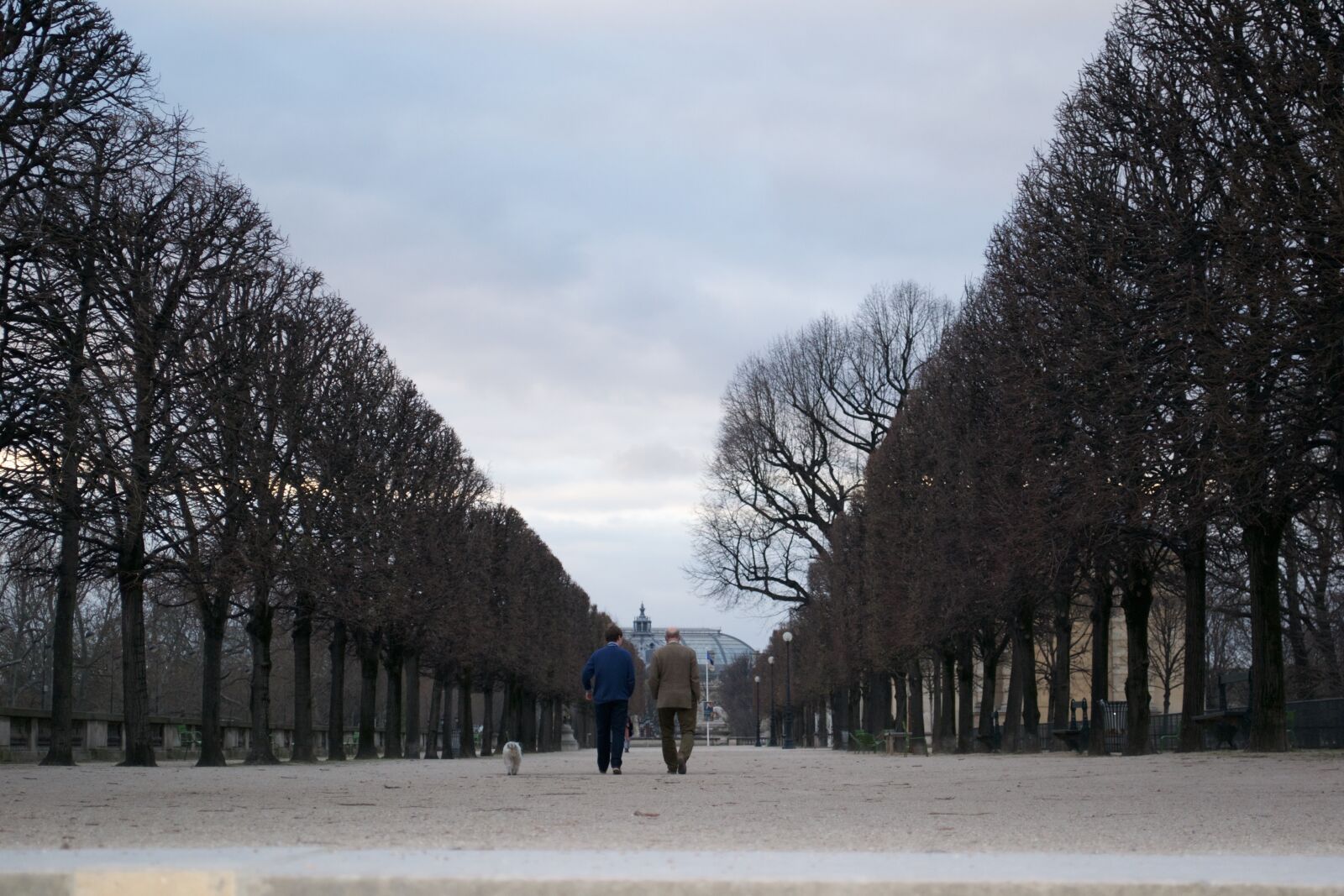 Nikon D3100 sample photo. Fatherandson, walking photography