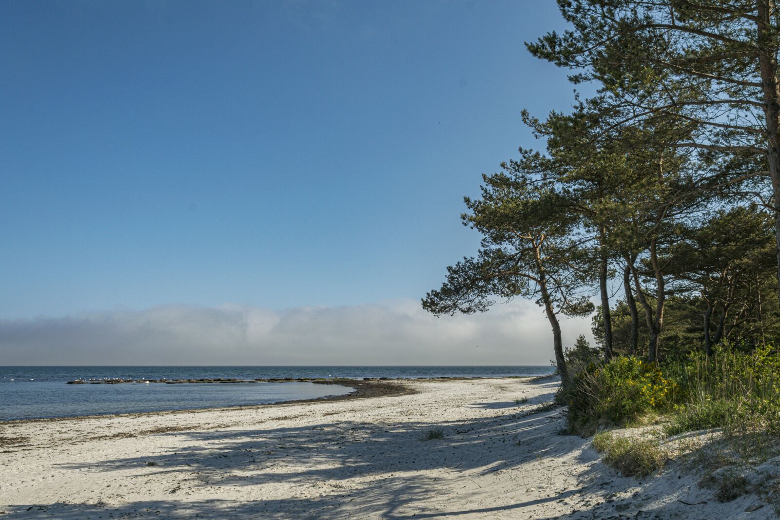 Nikon D5300 sample photo. Beach, baltic sea, coast photography