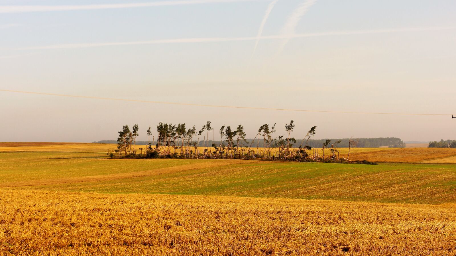 Sony Alpha NEX-5N sample photo. Field, farm, trim photography
