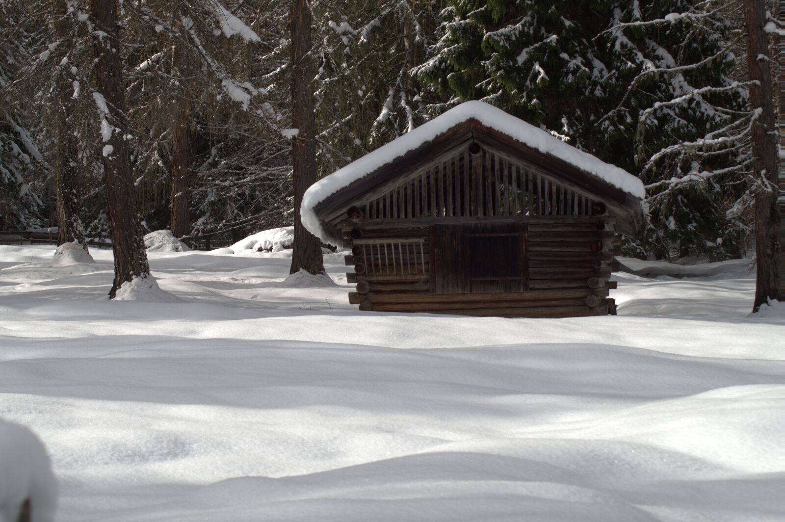 Sony SLT-A58 sample photo. Winter, snow, wintry photography