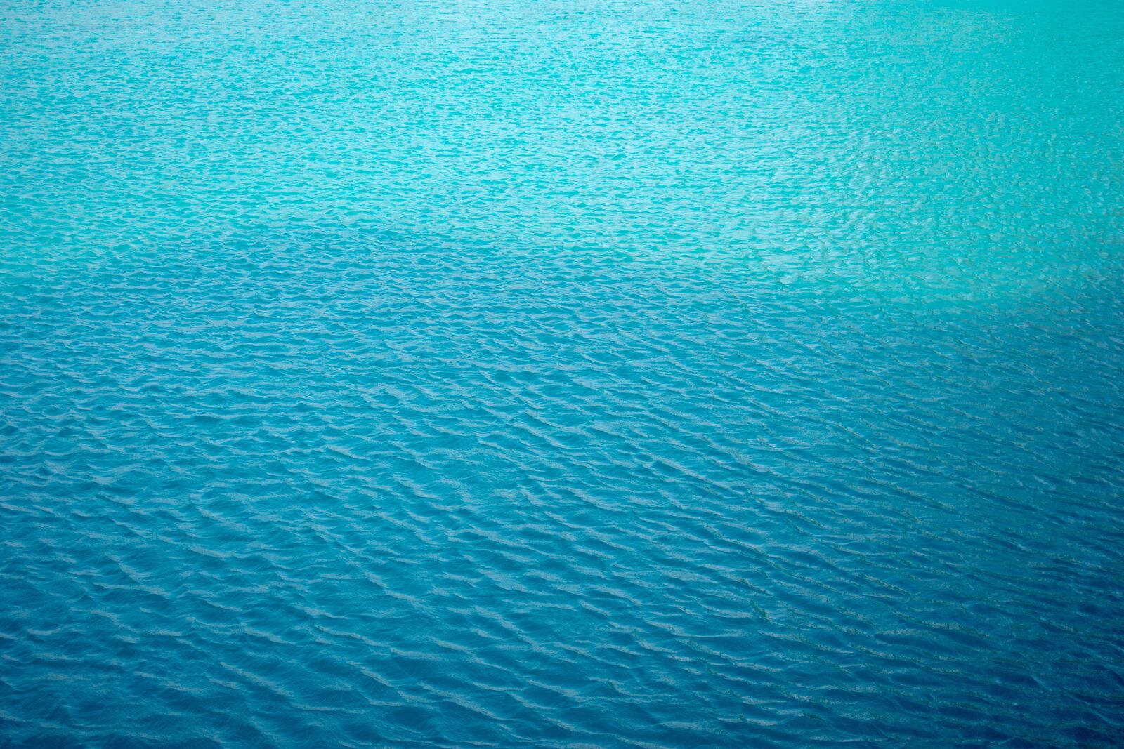 Nikon D3400 sample photo. Water, pool, swimming photography