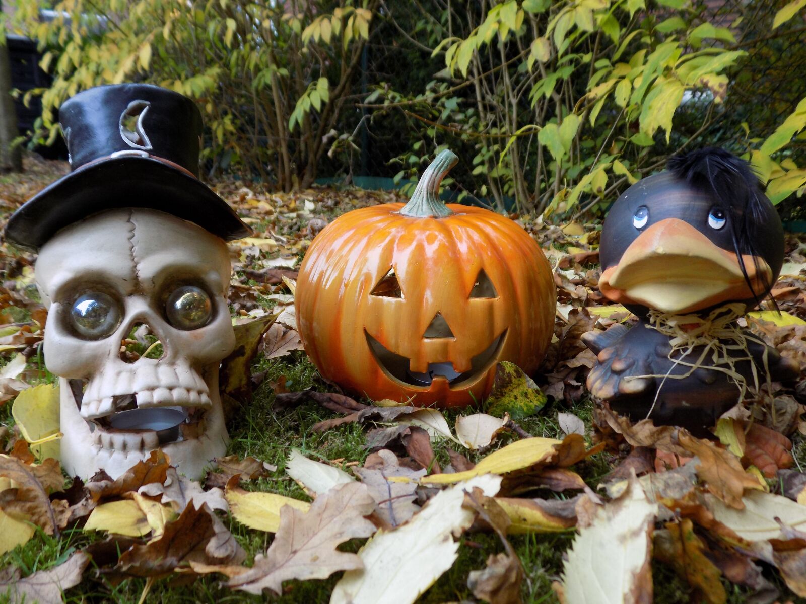 Nikon COOLPIX L340 sample photo. Pumpkin, skull and crossbones photography
