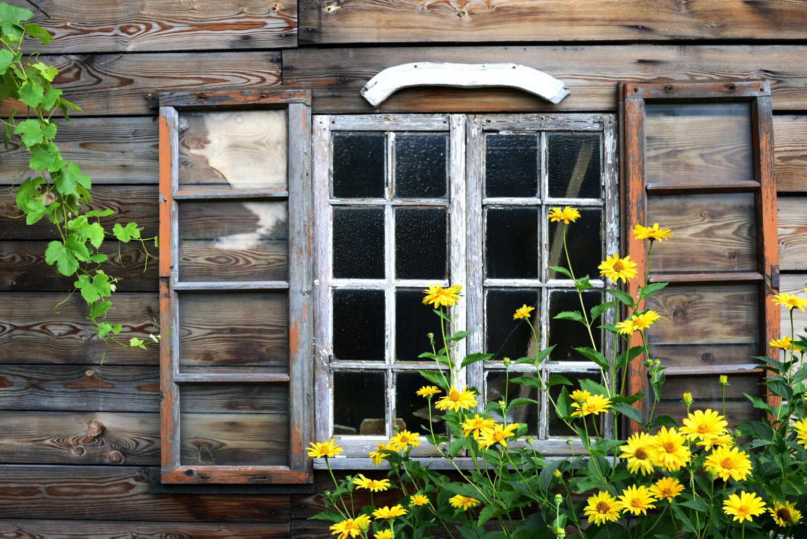 Nikon D3200 sample photo. Window, wood, architecture photography