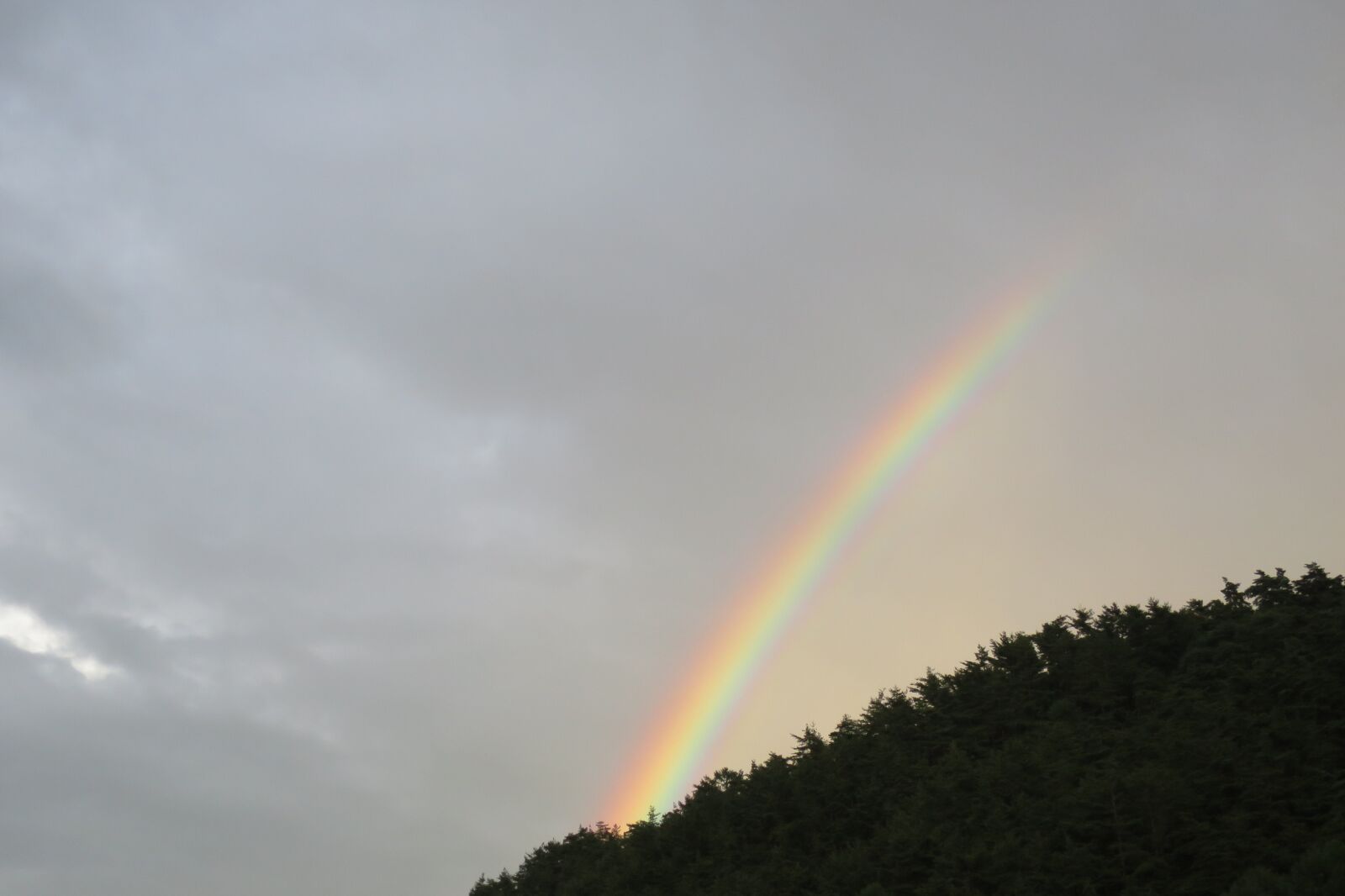 Canon PowerShot S120 sample photo. Rainbow, after the rain photography