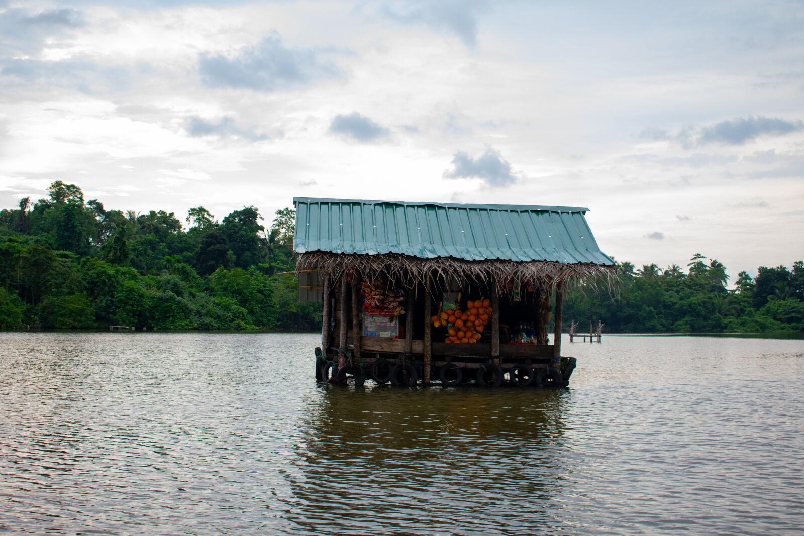 Nikon D3400 sample photo. Sri lanka, exotic, nature photography