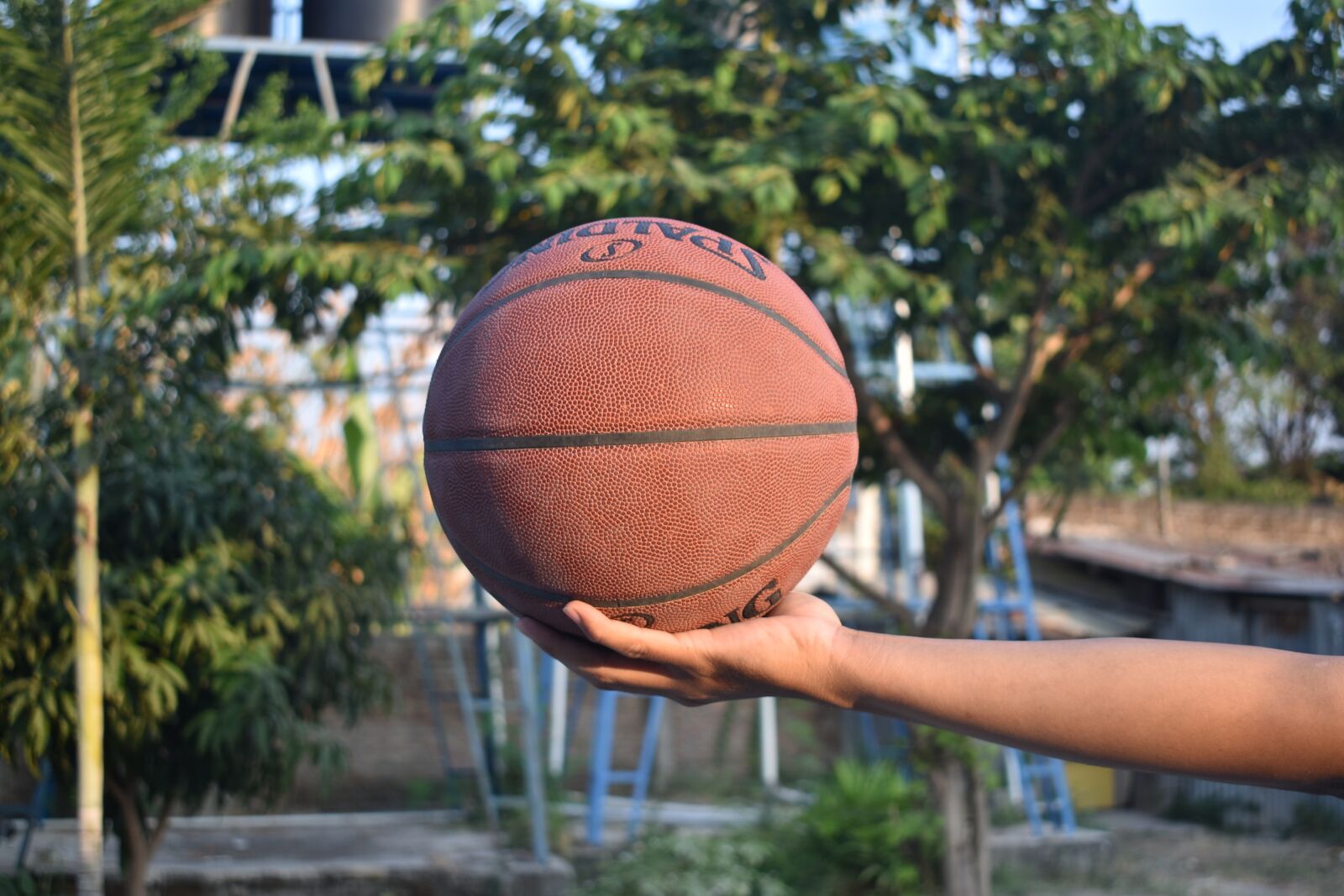 Nikon D3400 sample photo. Ball, basketball, sport photography