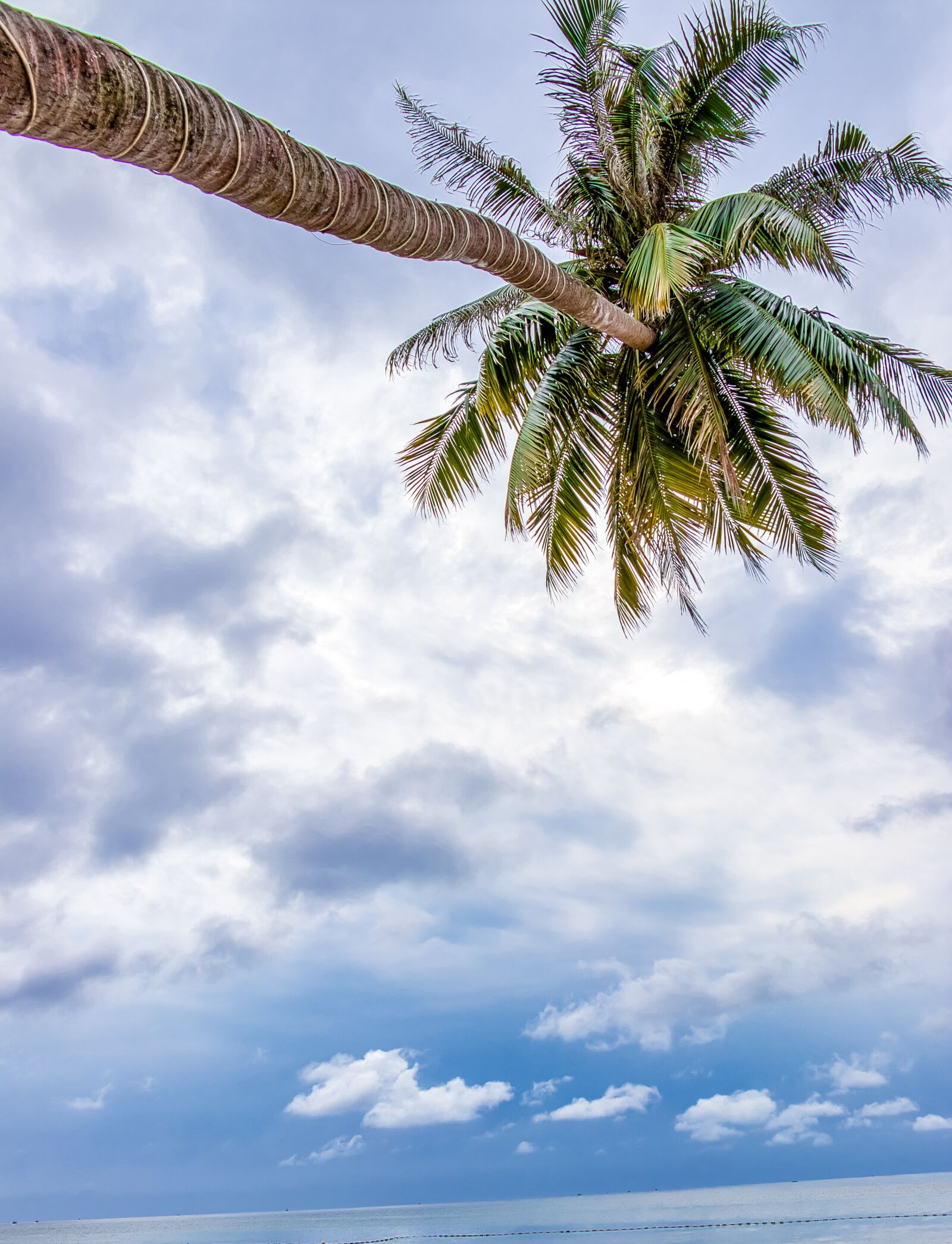 Canon EOS 80D sample photo. Palma, vietnam, sky photography