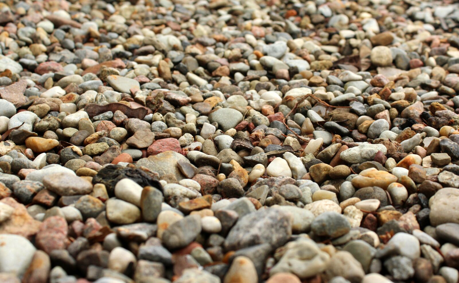 Canon EOS 1200D (EOS Rebel T5 / EOS Kiss X70 / EOS Hi) sample photo. The stones, pebbles, minor photography