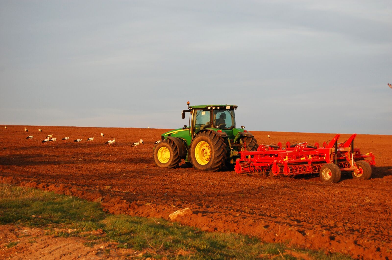 Nikon D40 sample photo. Tractor, plowing, field photography