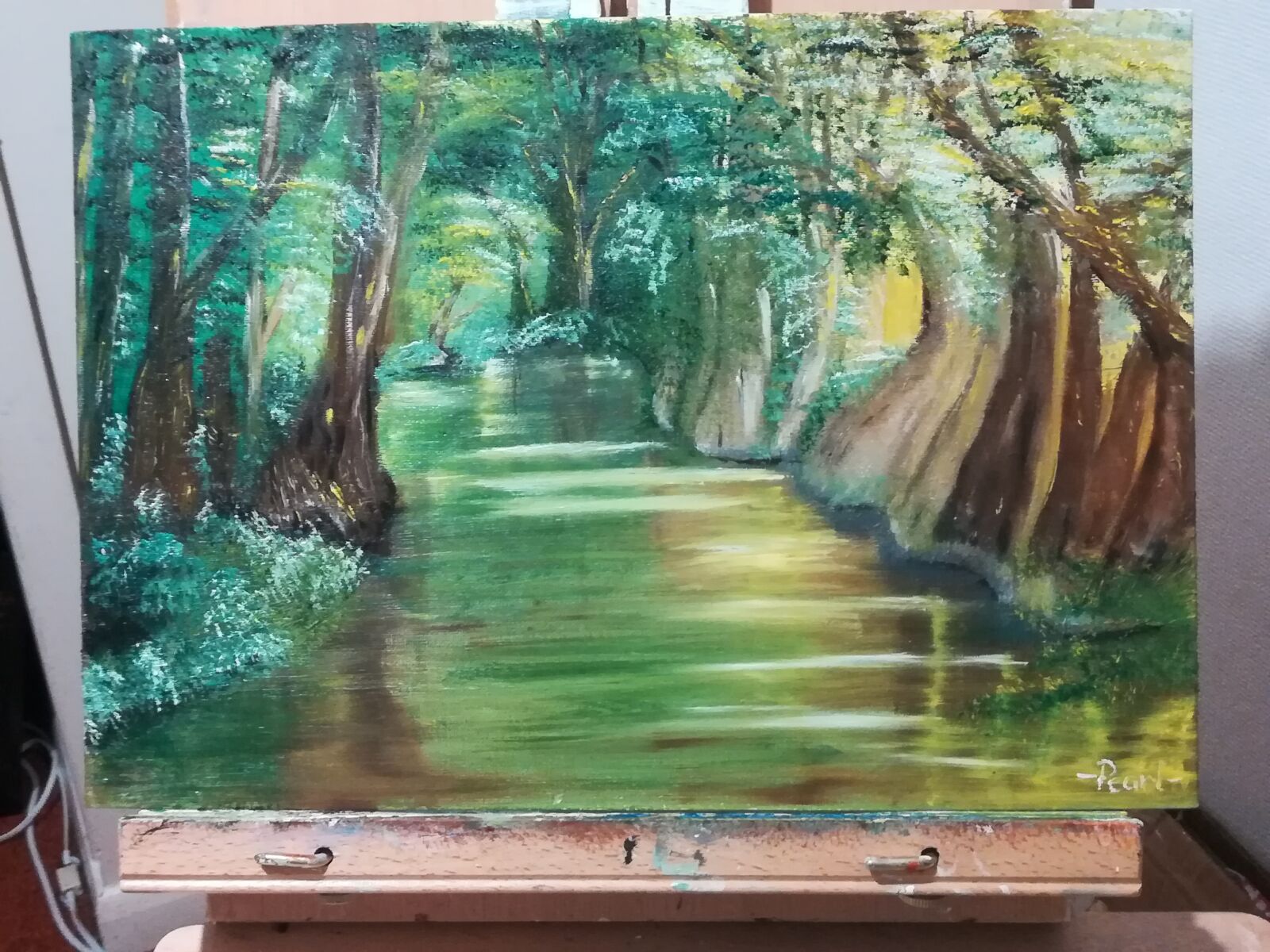 HUAWEI P10 lite sample photo. Trees, river, green photography
