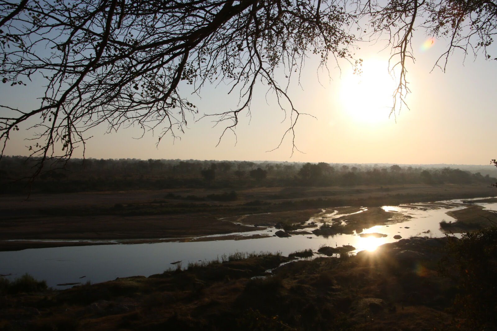 Canon EOS 7D Mark II sample photo. Bush, early, kruger, national photography