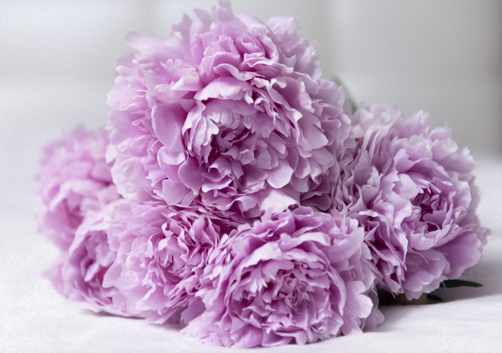 Nikon D810 sample photo. Peonies, bouquet, pink photography