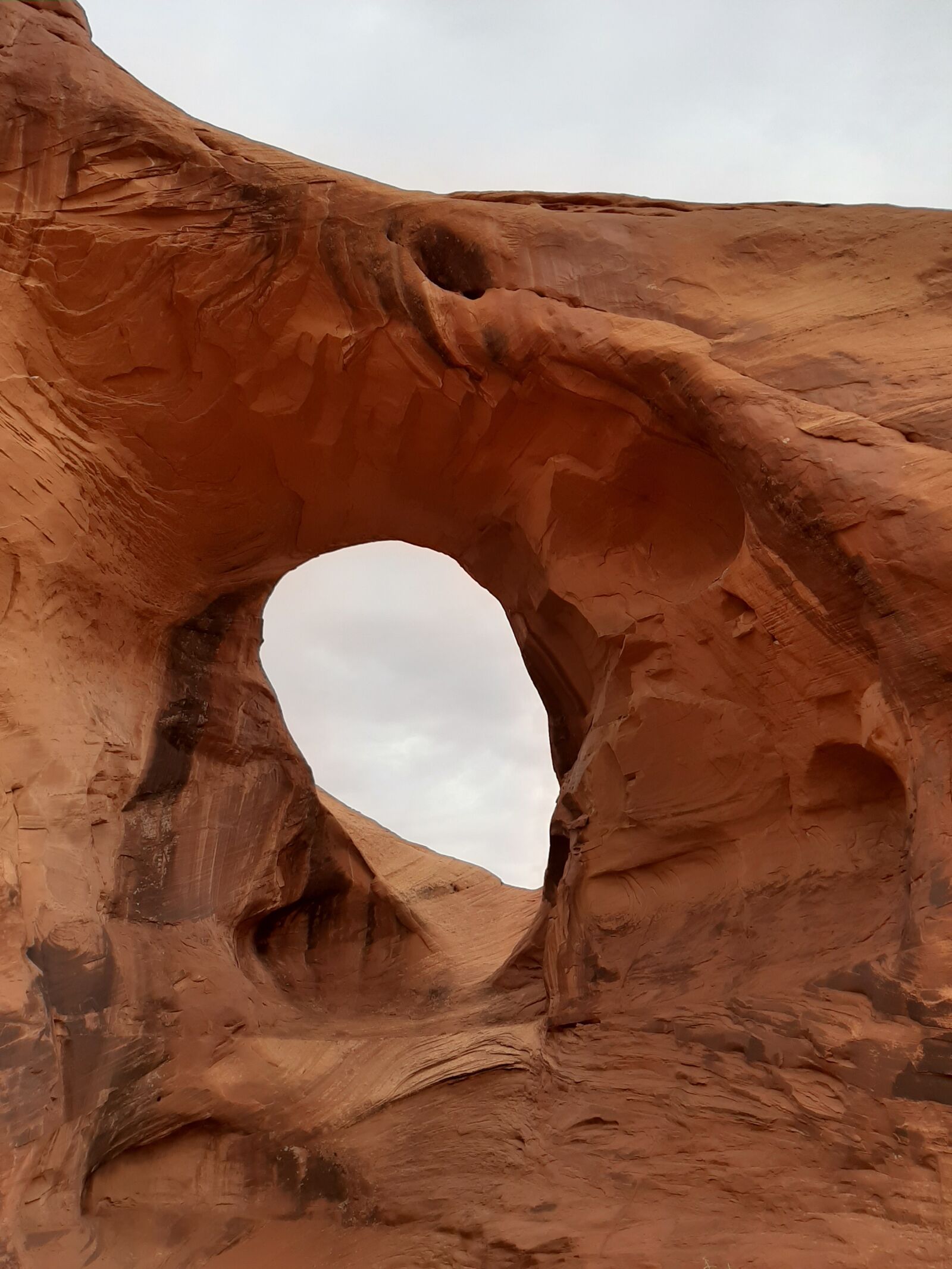 Samsung Galaxy A50 sample photo. Ear of the wind photography