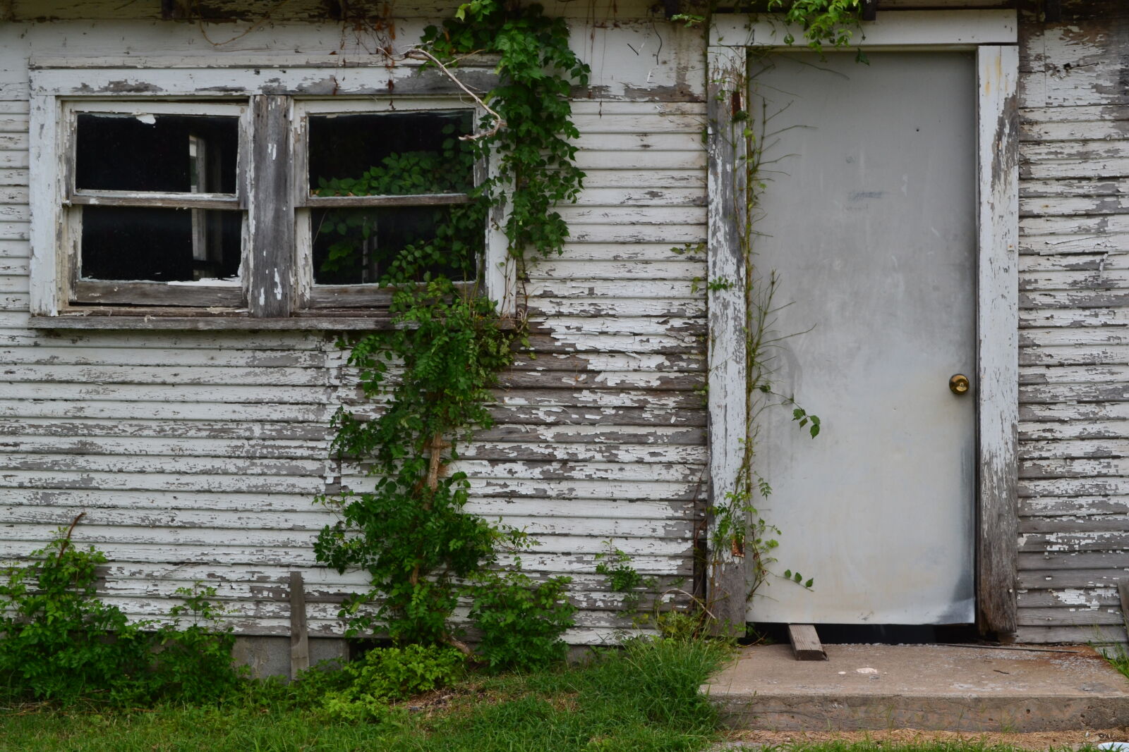 Nikon D3100 sample photo. Green, grey, house, old photography